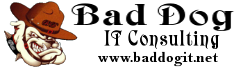 Bad Dog IT Consulting, LLC